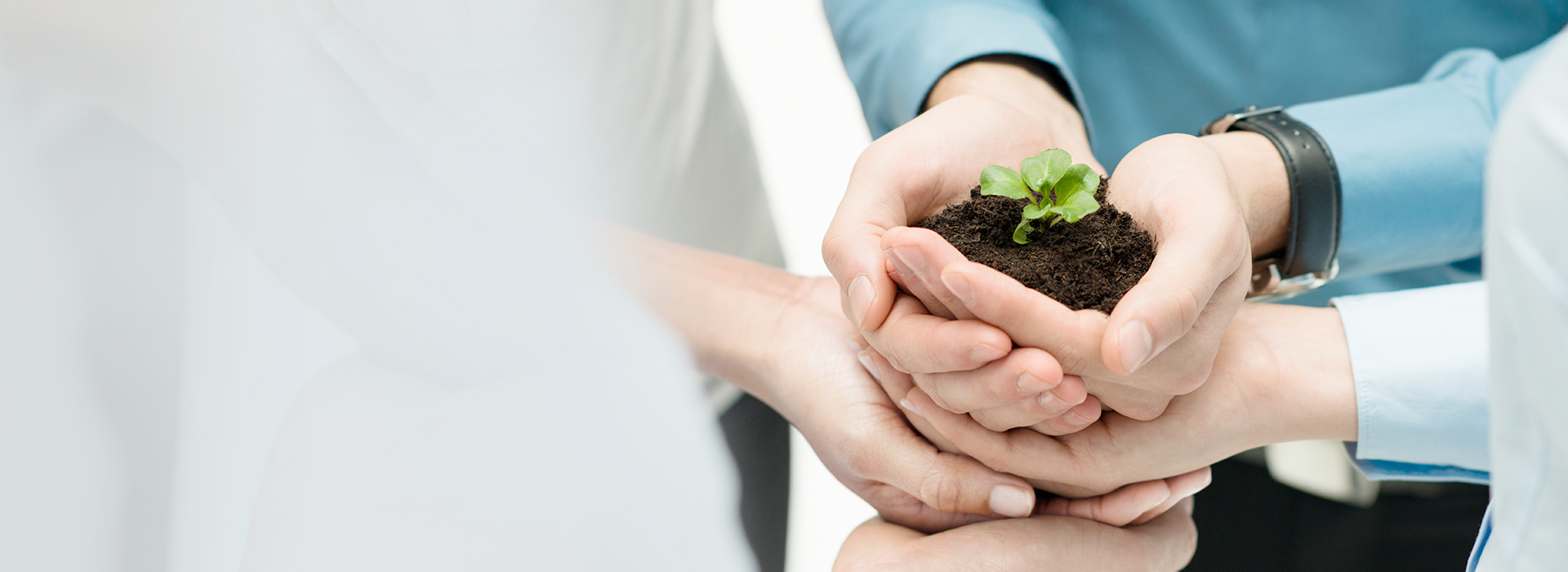 ��8ͷ�����Ψһ�ٷ���վ��Ϸ�Ƽ�-AI������_�����a�__�����ŵ�